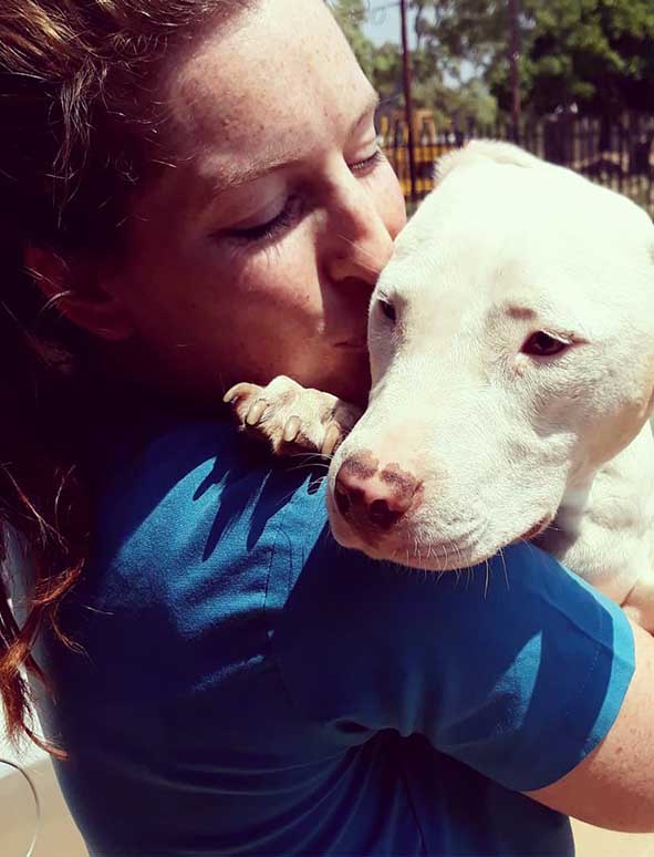 Dr. Francoisné NortjéRust